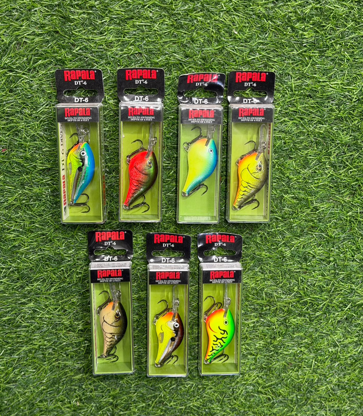DT6 RAPALA - foto 2