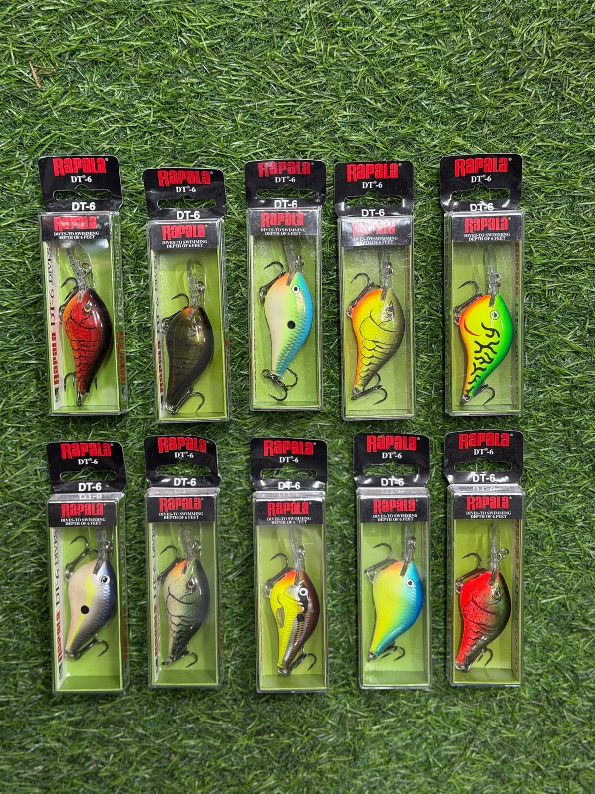 DT6 RAPALA