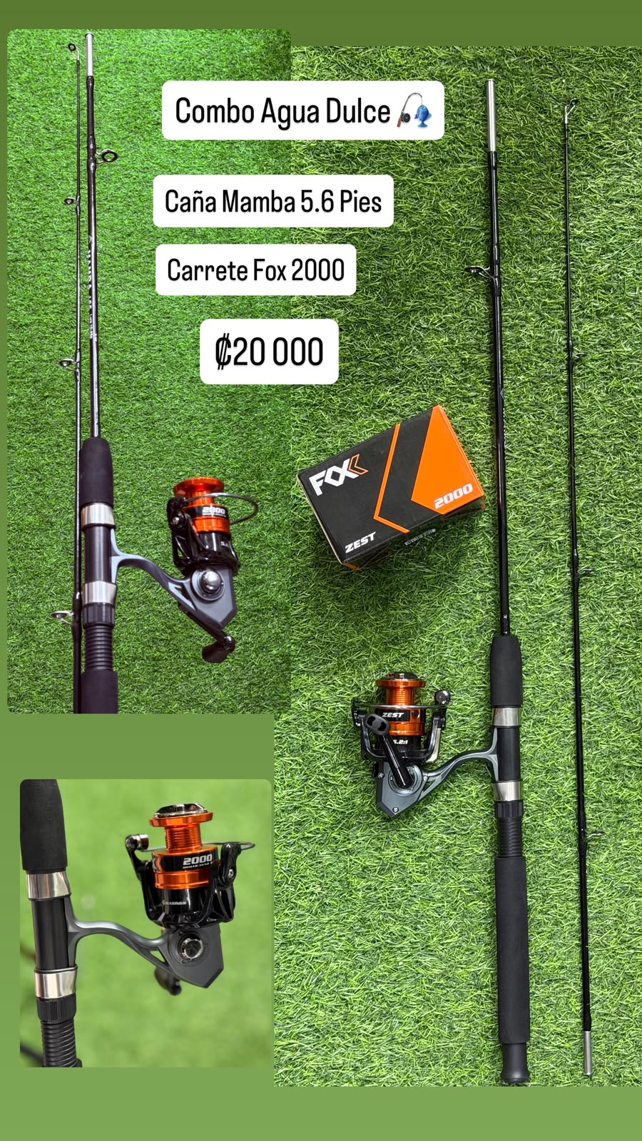Combo Caña Mamba y Carrete Fox 2000
