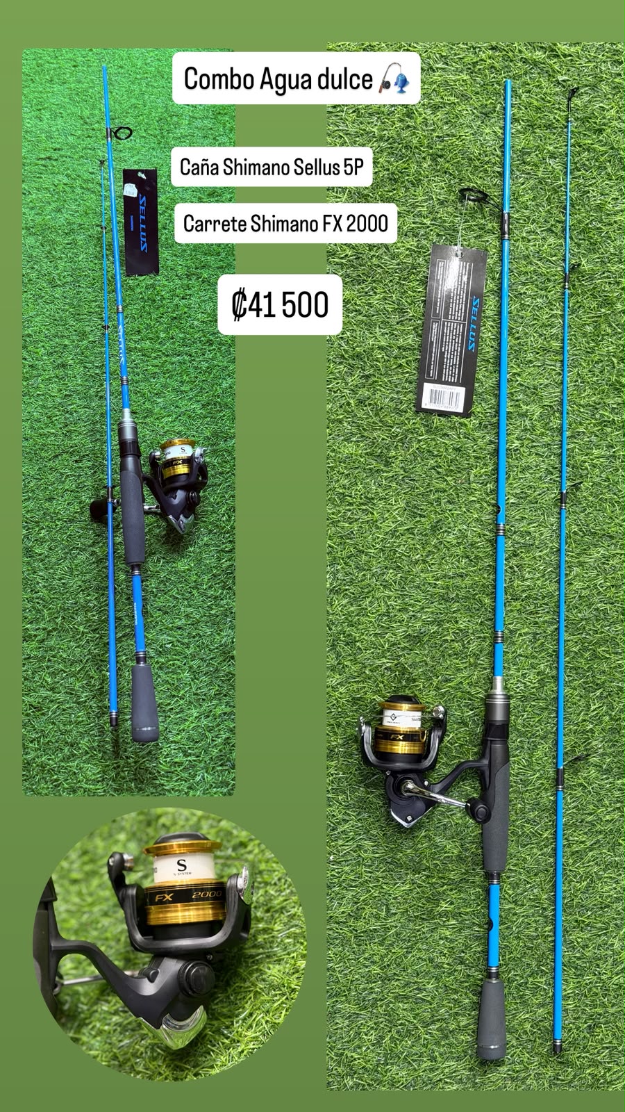 Combo Caña Shimano Selluz y Carrete Shimano Fx 2000